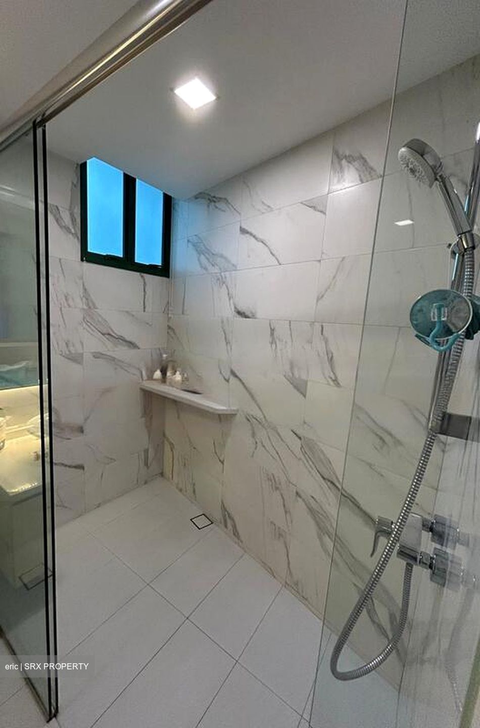 Signature Park (D21), Condominium #481099831